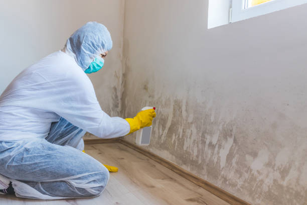 Hvac And Air Duct Mold Remediation inspection of HVAC system in Batavia